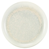 Terra Porcelain Pearl Coupe Plate 24cm (Pack of 6)