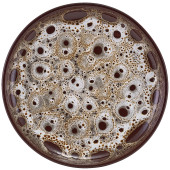 Sabrosa Luna Plate 19.5cm/8" (Pack of 12)