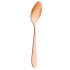 Rio Copper Tea Spoon (Pack of 12)