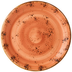 Steelite Craft Terracotta Coupe Plate 25cm/10" (Pack of 24)