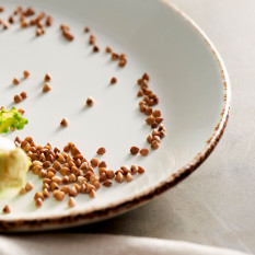 Steelite Brown Dapple Coupe Bowl 22cm/8.5" 835ml/30oz (Pack of 24)