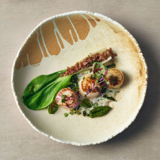 Terra Porcelain Roko Sand Coupe Bowl 25cm/9.84" (Pack of 3)