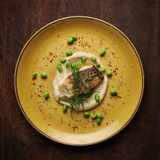 Churchill Stonecast Mustard Yellow Coupe Plate 21.7cm/8.5" (Pack of 12)