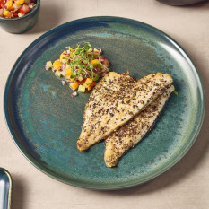 Terra Porcelain Aqua Green Coupe Plate 27.5cm (Pack of 6)