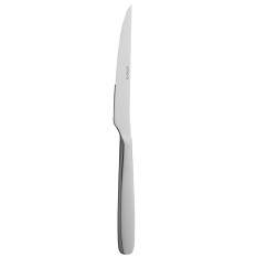 Stainless Steel Steak Knife (Pack of 12)