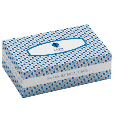 Facial Tissue 2 Ply Flat 100 Sheets (Pack of 24)