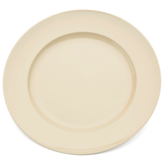 Polycarbonate Dinner Plate 24cm (Pack of 10)