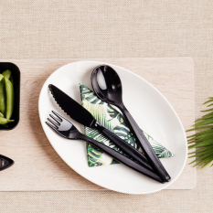 Polycarbonate Reusable Knife (Pack of 10)