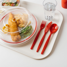 Polycarbonate Antibacterial Dessert Spoon (Pack of 10)