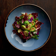 Dudson Harvest Indigo Coupe Bowl 18.2cm/7.25" 426ml/15oz (Pack of 12)