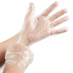 Disposable Gloves Clear HDPE Polythene (Pack of 100)