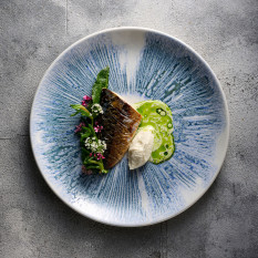 Churchill Inked Lyra Blue Evolve Coupe Plate 16.5cm/6.5" (Pack of 12)