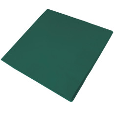 Cocktail Napkins Dark Green 24cm 2ply (Pack of 4000)