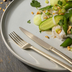 Eternum Orca Matt Champagne Dessert Fork (Pack of 12)