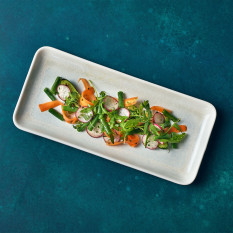 Terra Porcelain Pearl Narrow Rectangular Platter 30 x 14cm (Pack of 6)