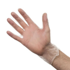 Disposable Gloves Vinyl Powder Free Clear Large (Pack of 100)
