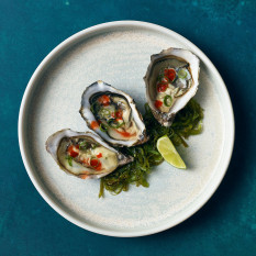 Terra Porcelain Pearl Presentation Plate 26cm/10.25" (Pack of 6)