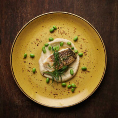 Churchill Stonecast Mustard Yellow Coupe Plate 28.8cm/11.31" (Pack of 12)