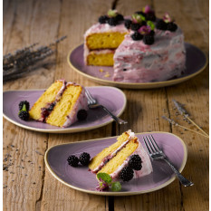 Churchill Stonecast Lavender Evolve Coupe Plate 26cm/10.19" (Pack of 12)