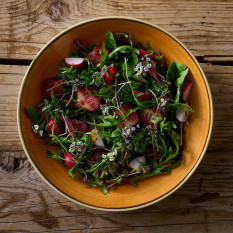 Churchill Stonecast Tangerine Coupe Bowl 24.8cm/9.75" (Pack of 12)