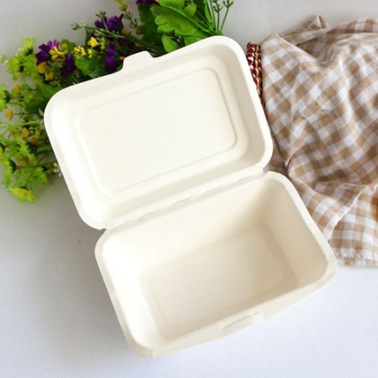 What is Bagasse Material? 