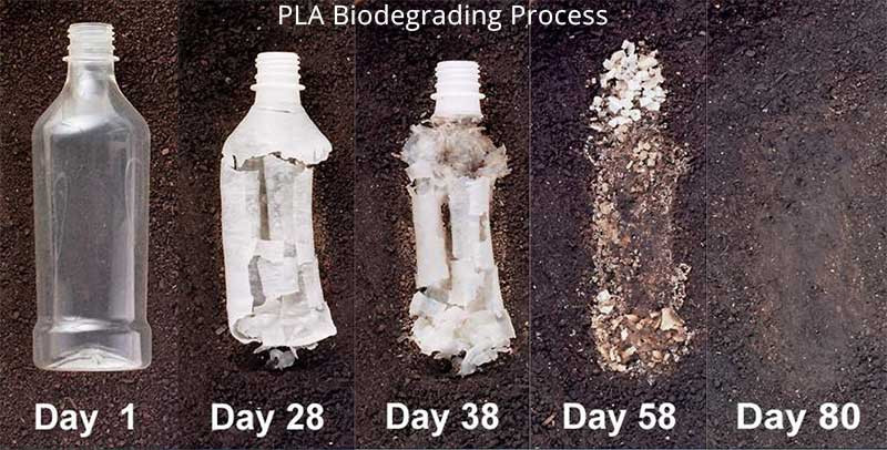 PLA plastic breakdown process