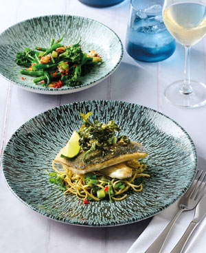 Academy Fusion Stellar